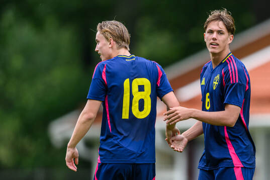 Alexander Berisson and Leon Westin Bryhn celebrates scoring