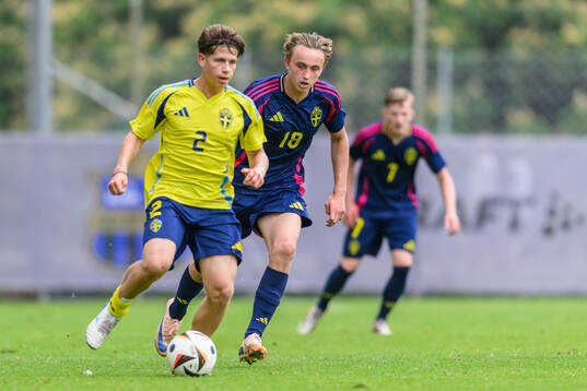 Oliver Djurci and Alexander Berisson