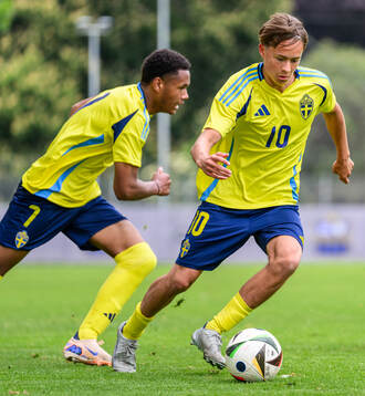 Vidar Skoglund
