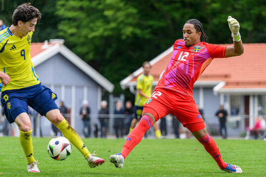 Goalkeeper Benjamin Norell