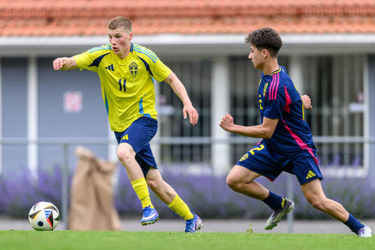 Niko Grgic Sallanto