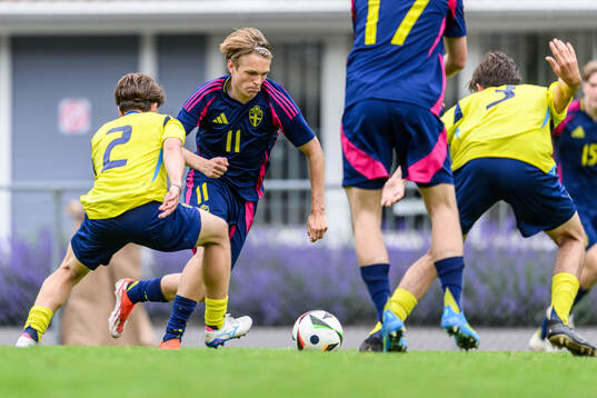 Filip Werner