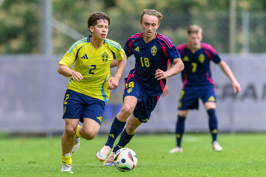 Oliver Djurci and Alexander Berisson