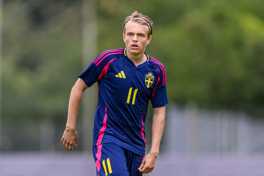 Filip Werner