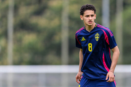 David Malki