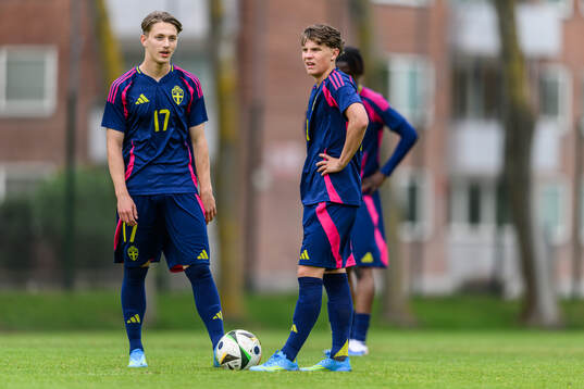 Amer Zeljkovic and Lucas Landgren Persson