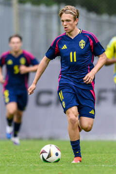 Filip Werner