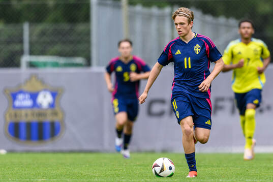 Filip Werner