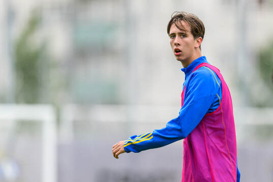 Vidar Skoglund