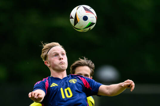 Jonathan Edenvik