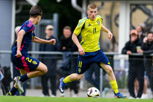Niko Grgic Sallanto