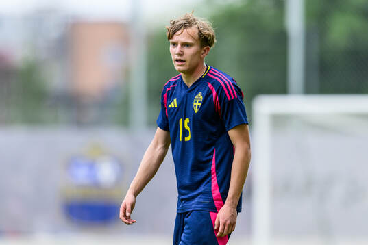 Viggo Fälth