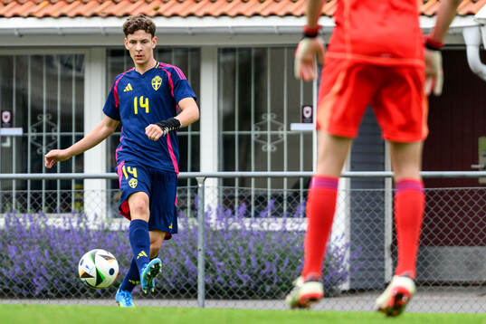 Lino Wernberg Hyppänen
