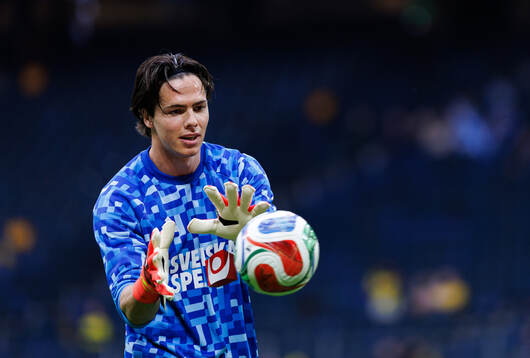 Goalkeeper Jacob Widell Zetterström of Sweden