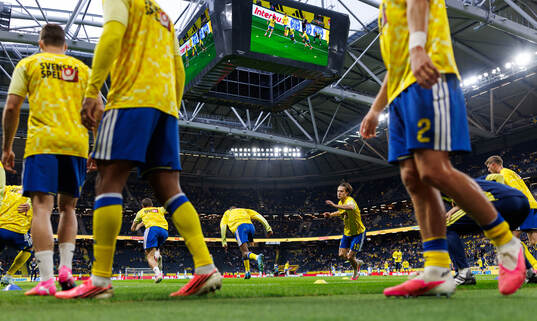 Mattias Svanberg of Sweden