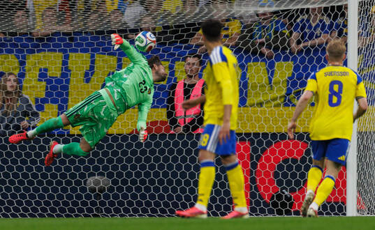 Goalkeeper Kristoffer Nordfeldt of Sweden