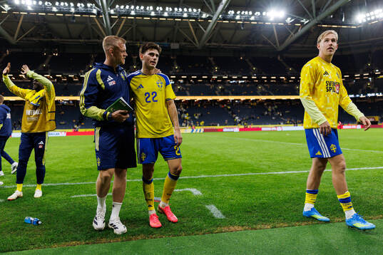 Besfort Zeneli and Herman Johansson of Sweden