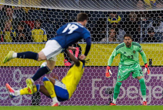 Goalkeeper Kristoffer Nordfeldt of Sweden