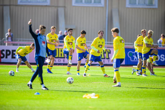 Players of Sweden