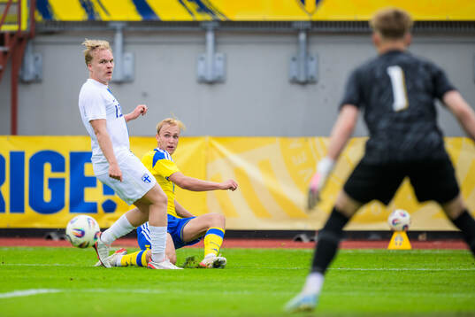 Oskari Väistö of Finland and Leo Östman of Sweden