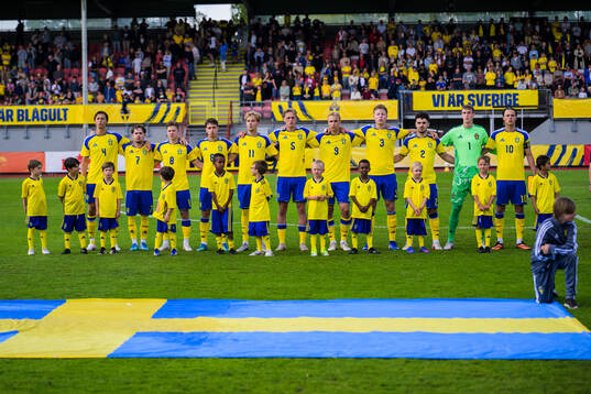 Players of Sweden