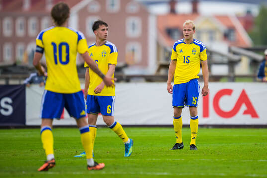 Kenan Busuladzic and Harry Hilvenius of Sweden looks