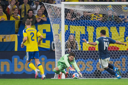 goalkeeper Kristoffer Nordfeldt of Sweden