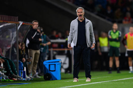 Head coach Christian Wück of Germany