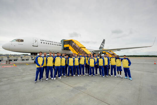 The Swedish national football team pose for a group photo