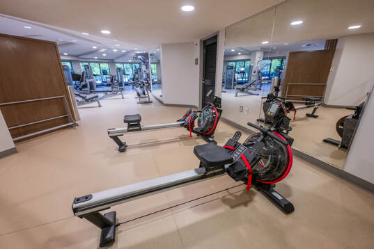 The Westin Dallas Stonebriar Golf Resort & Spa, the