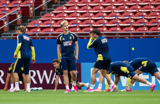 Lucas Bergvall of the Swedish national football team at a