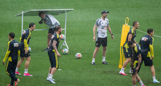 A member of the staff of the Swedish national football team