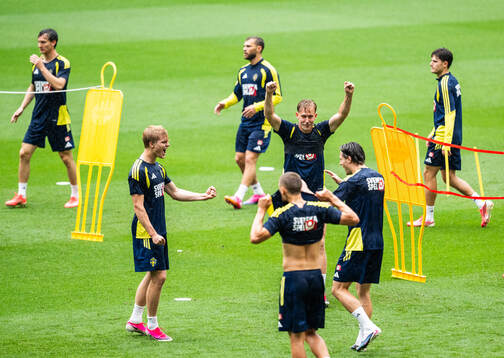 Herman Johansson of the Swedish national football team at a