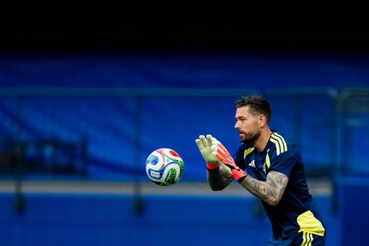 Goalkeeper Kristoffer Nordfeldt of the Swedish national