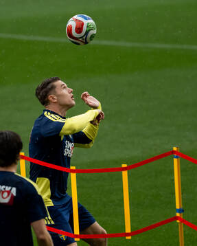 Viktor Gyökeres of the Swedish national football team at a