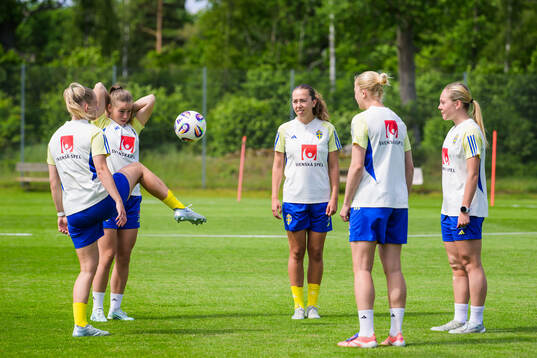 Players of Sweden