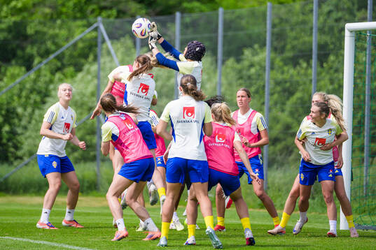 Players of Sweden