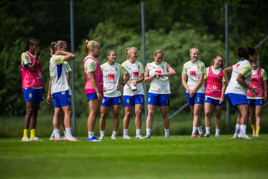 Players of Sweden