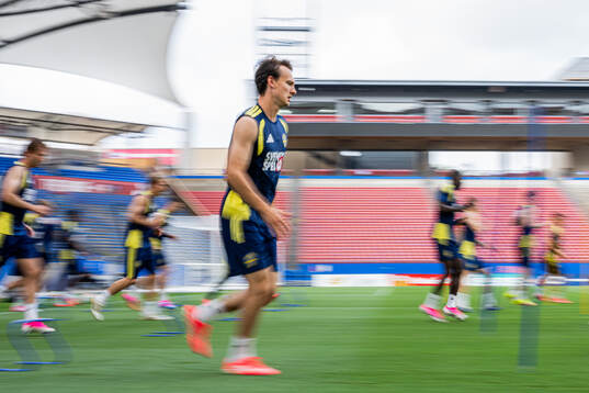 Hjalmar Ekdal of the Swedish national football team at a