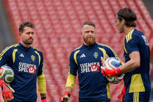 Goalkeeper Kristoffer Nordfeldt, goalkeeper Viktor