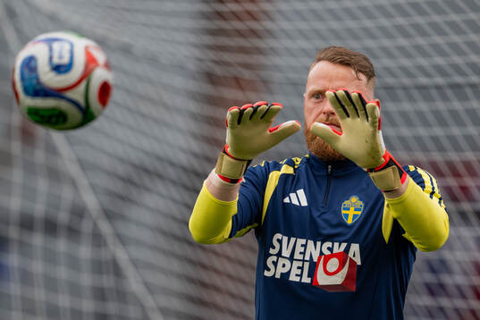Goalkeeper Viktor Johansson of the Swedish national