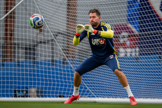Goalkeeper Kristoffer Nordfeldt of the Swedish national