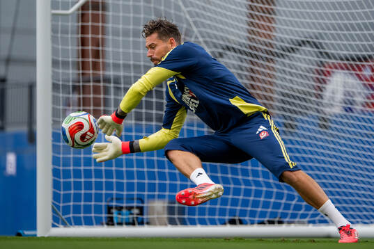 Goalkeeper Kristoffer Nordfeldt of the Swedish national