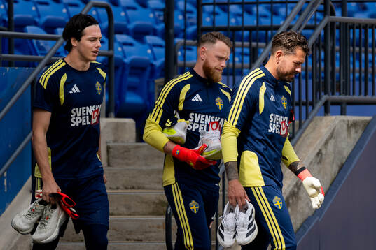 Goalkeeper Jacob Widell Zetterström, goalkeeper Viktor