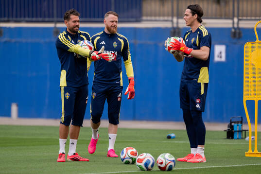 Goalkeeper Kristoffer Nordfeldt, goalkeeper Viktor