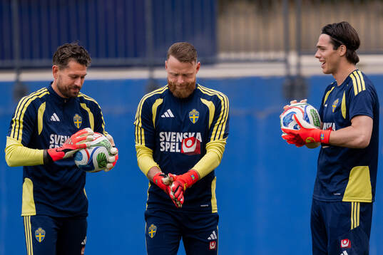 Goalkeeper Kristoffer Nordfeldt, goalkeeper Viktor