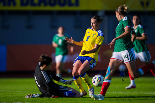 Goalkeeper Celeste Maryel Espino Medoza of Mexico and Maja