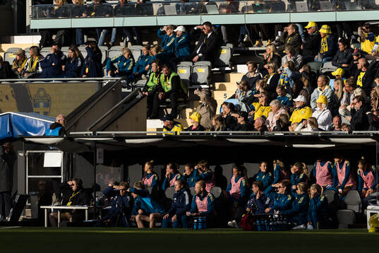 Players of Sweden
