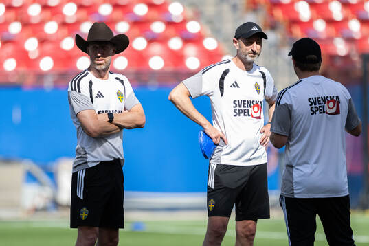 of the Swedish national football team at a training session