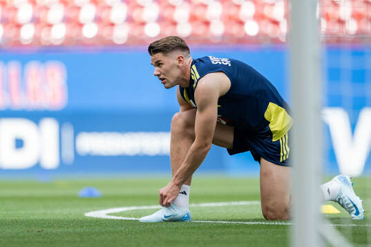 Viktor Gyökeres of the Swedish national football team at a